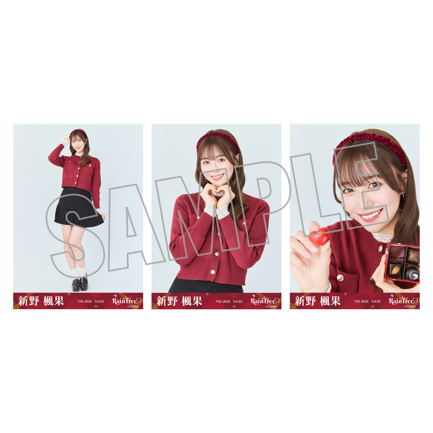 ランダム生写真(5枚1セット)【バレンタイン】